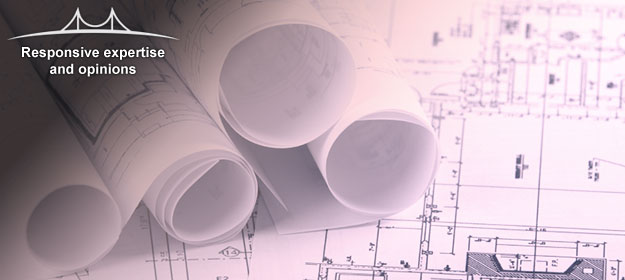 Responsive expertise and opinions